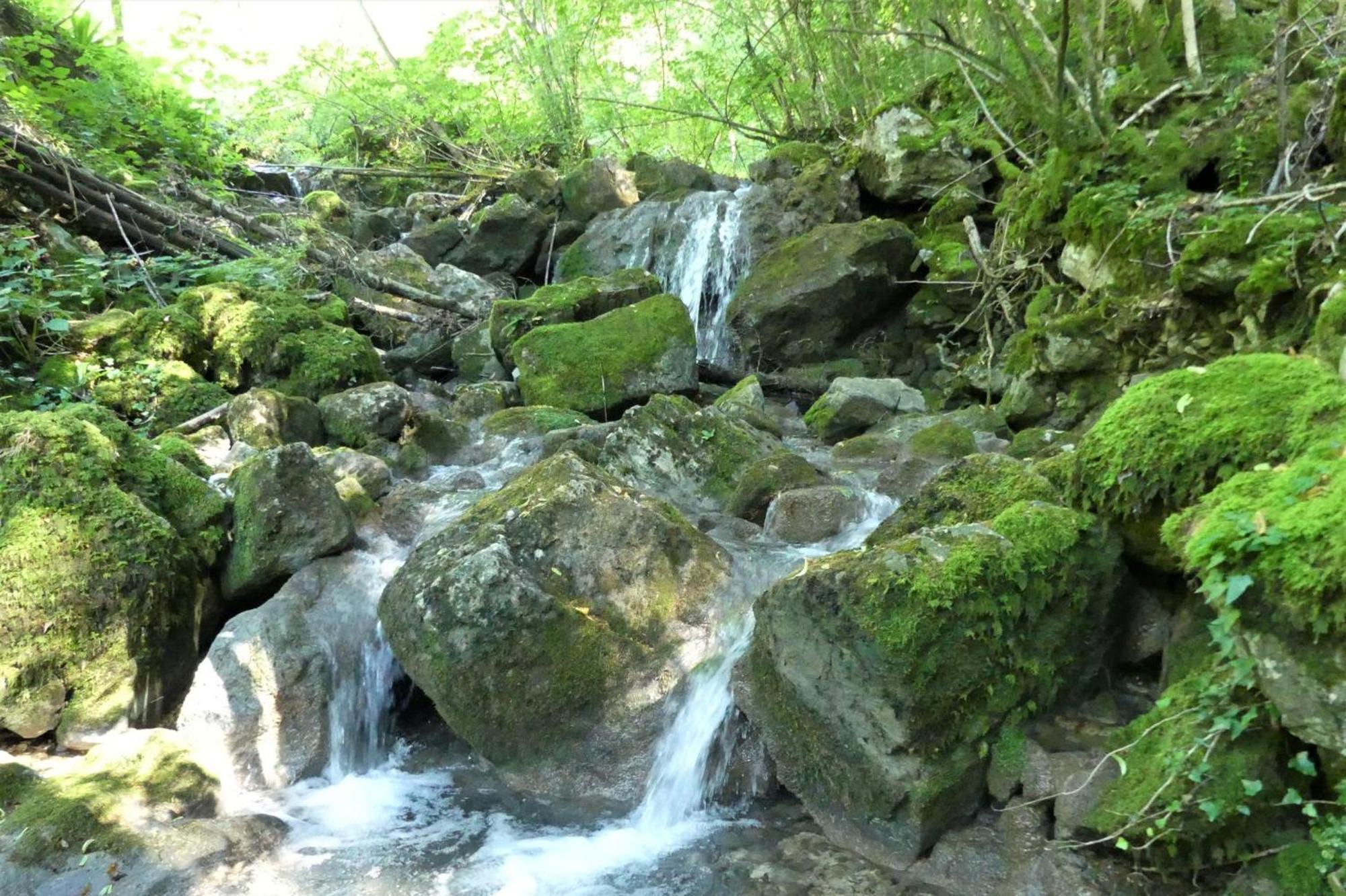 House By The Stream - Happy Rentals Avce Kültér fotó