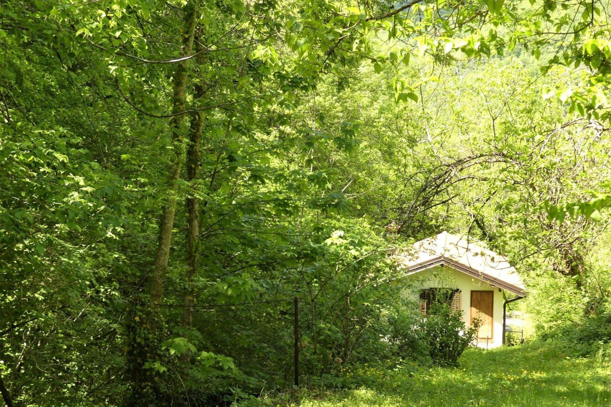House By The Stream - Happy Rentals Avce Kültér fotó