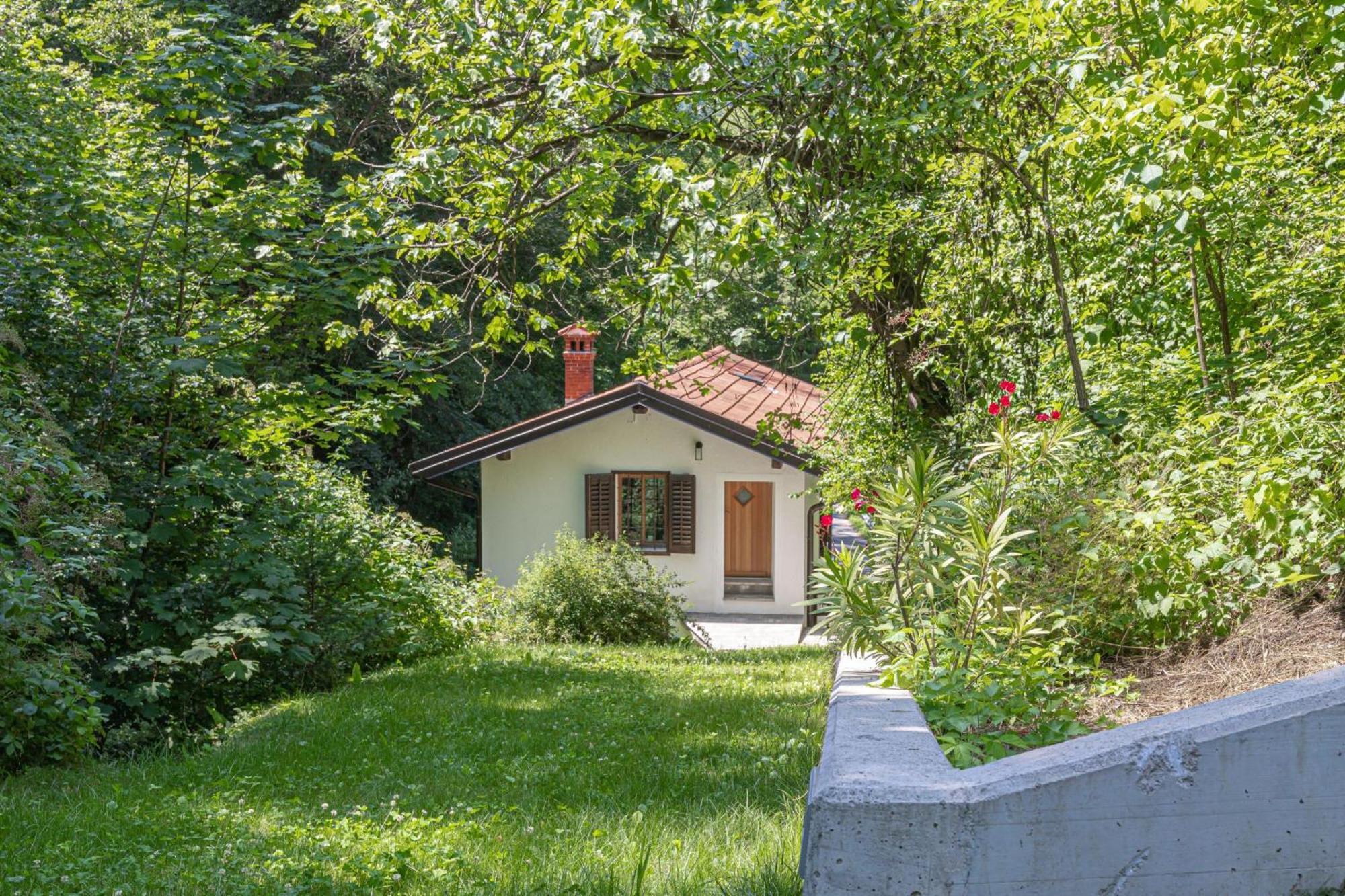 House By The Stream - Happy Rentals Avce Kültér fotó